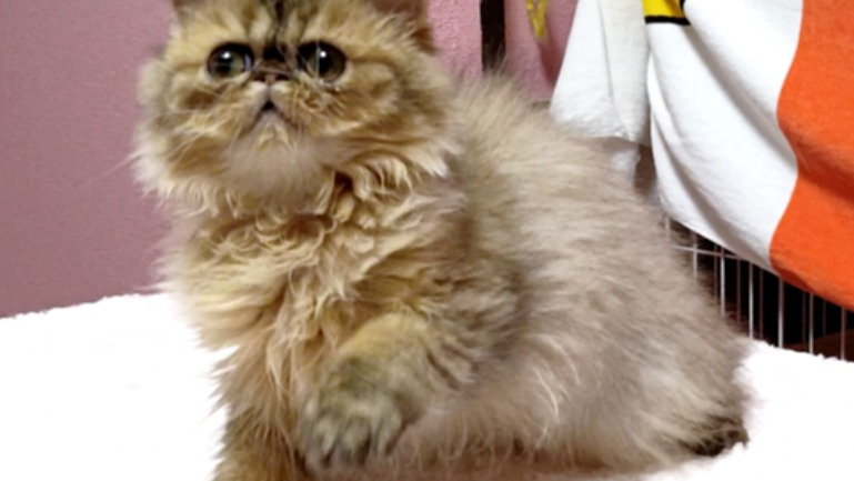 オーナー様募集中