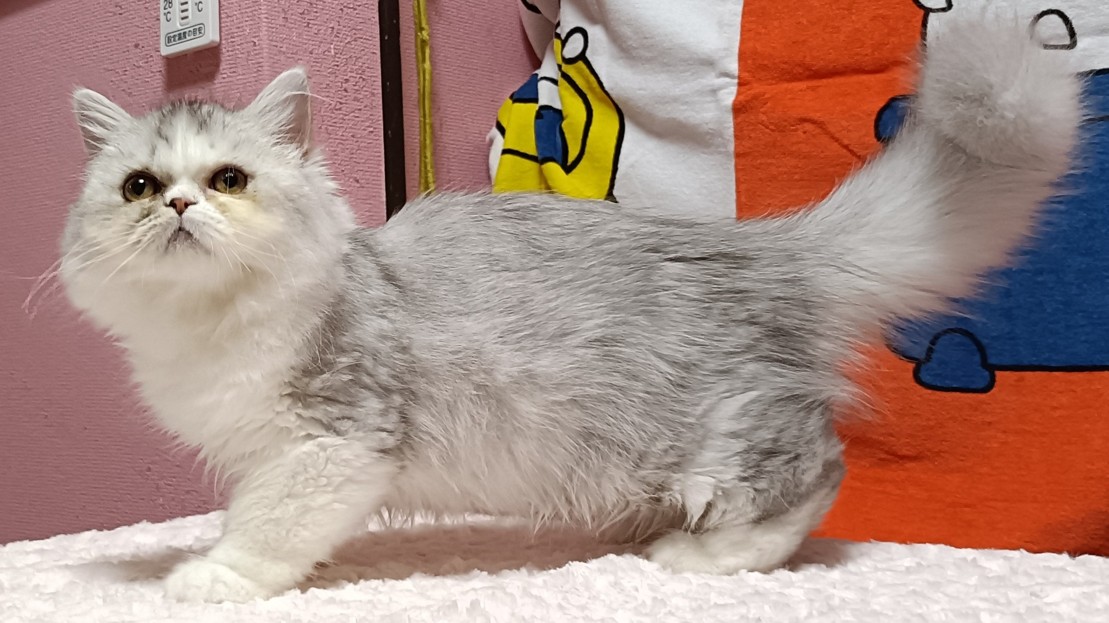 オーナー様募集中