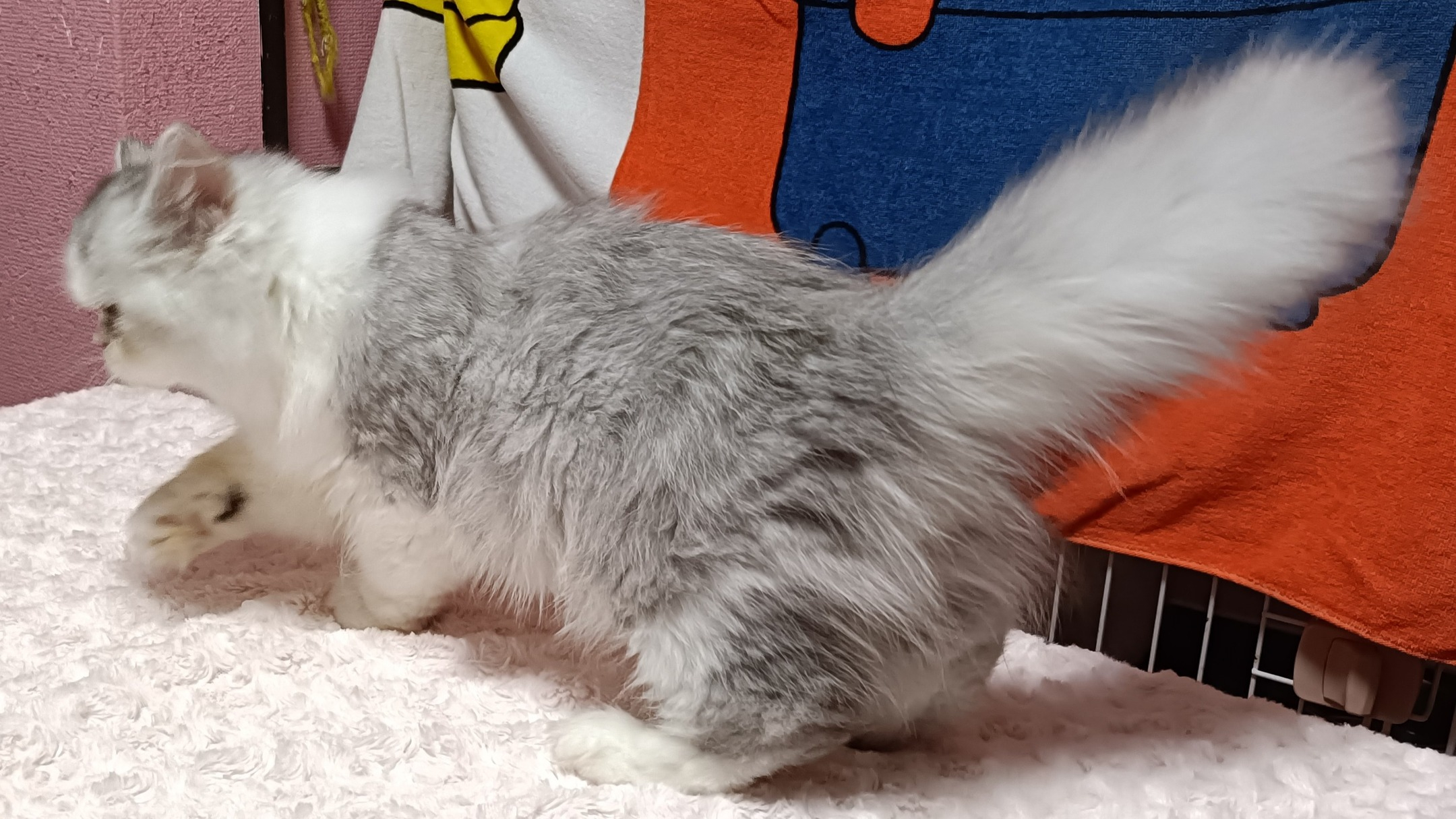 オーナー様募集中