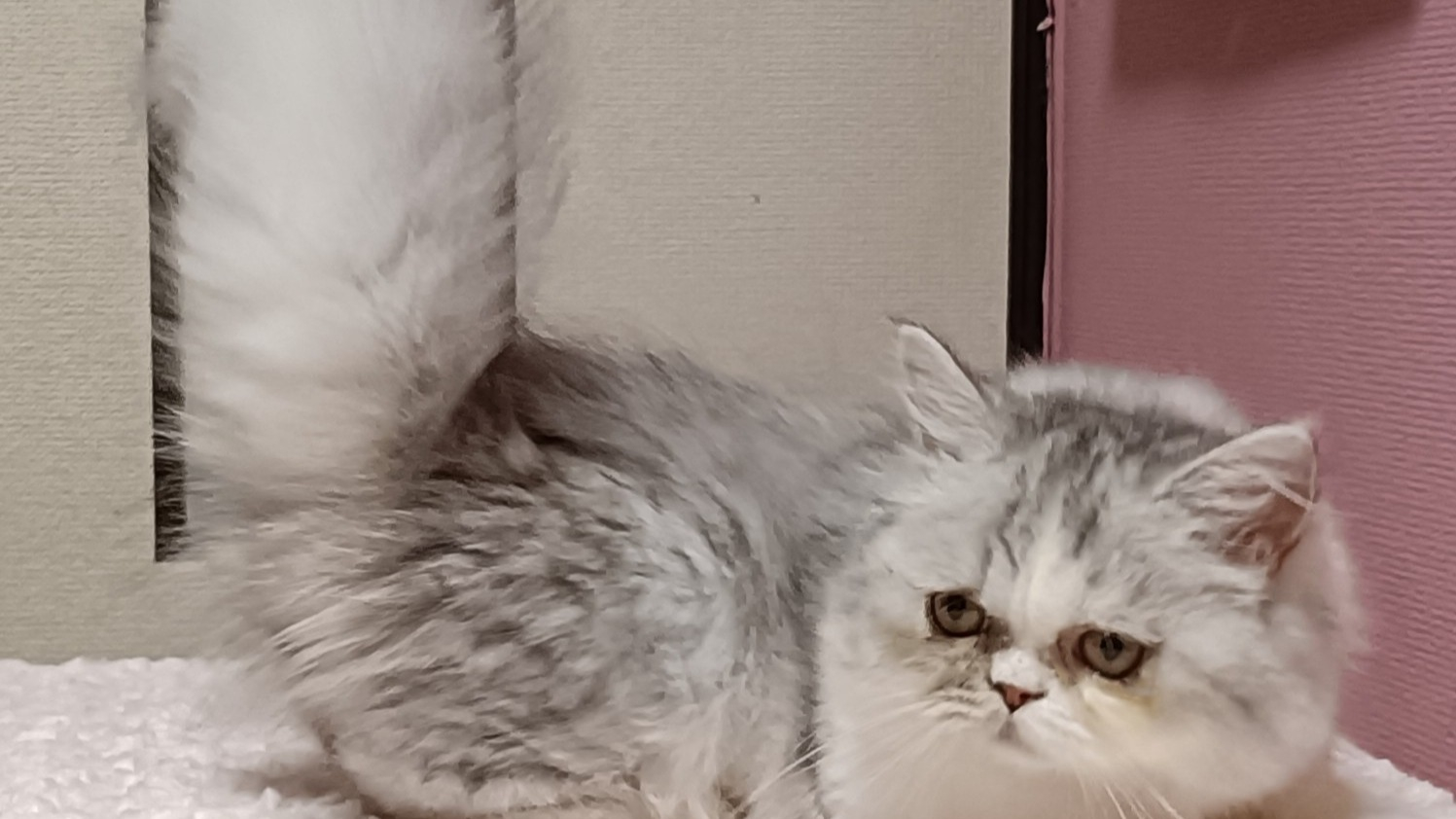 オーナー様募集中