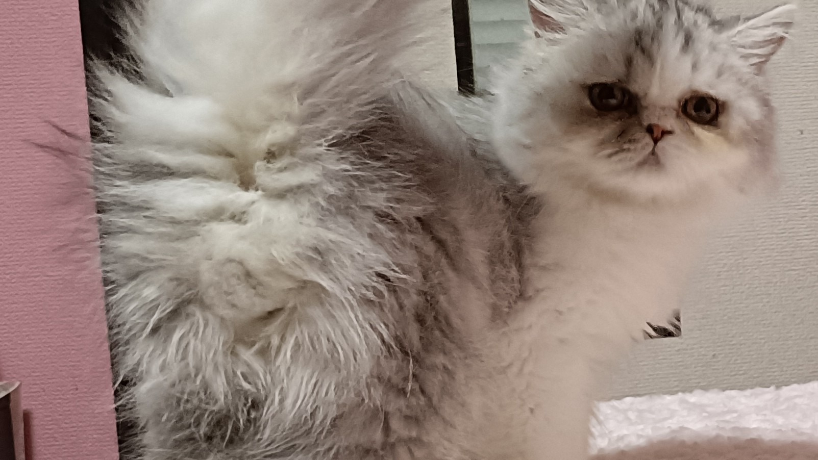 オーナー様募集中