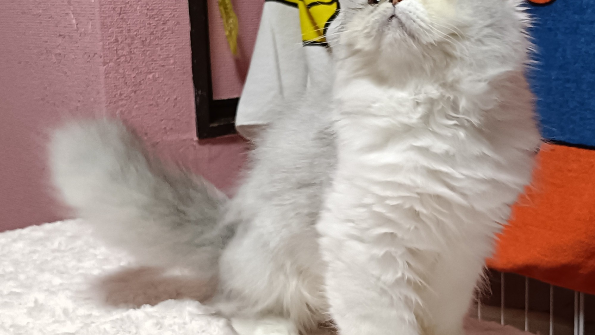 オーナー様募集中