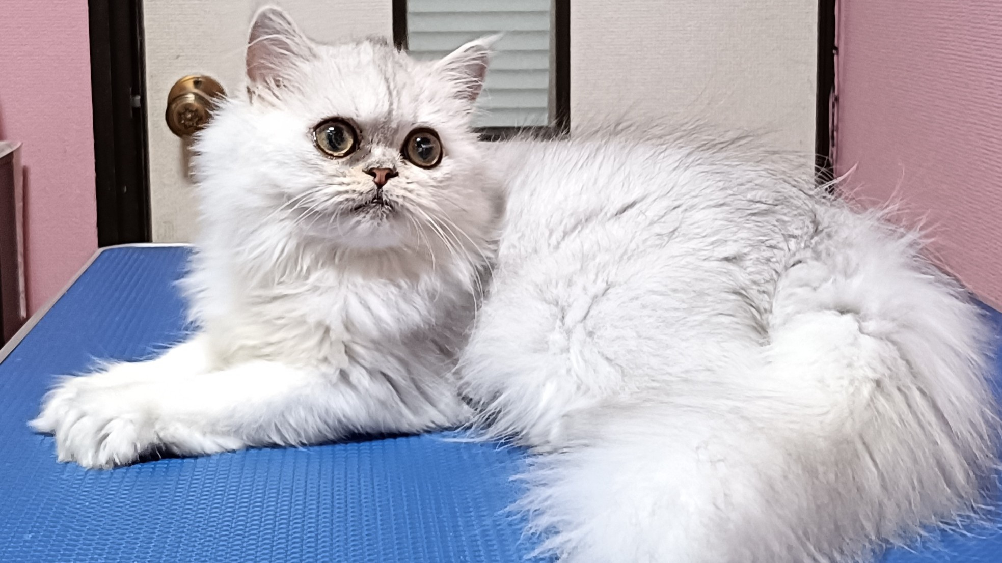 オーナー様募集中