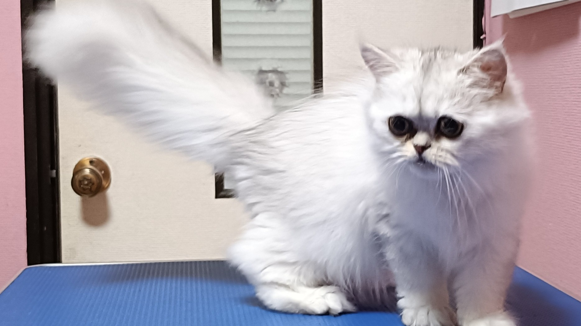 オーナー様募集中