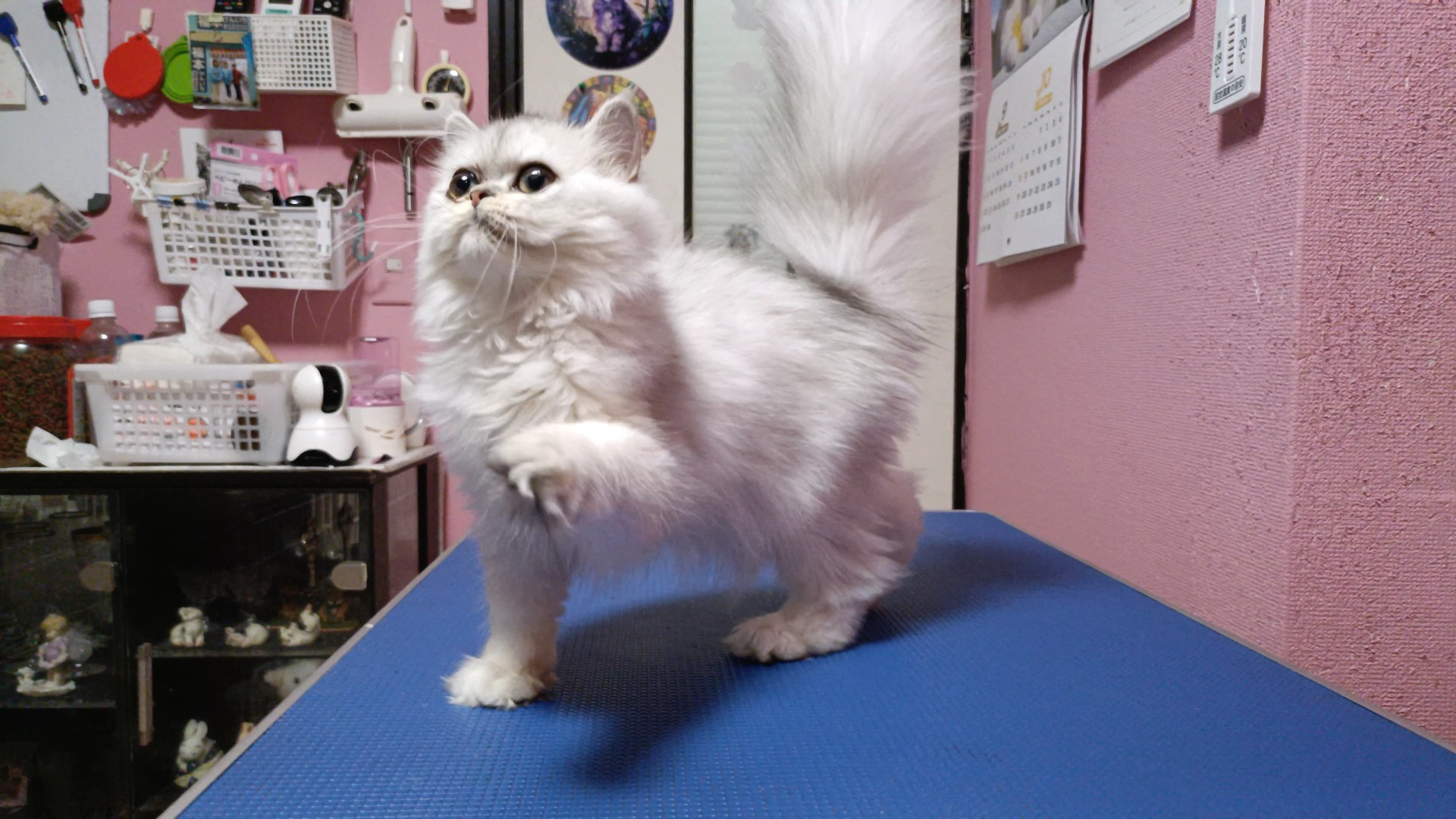 オーナー様募集中