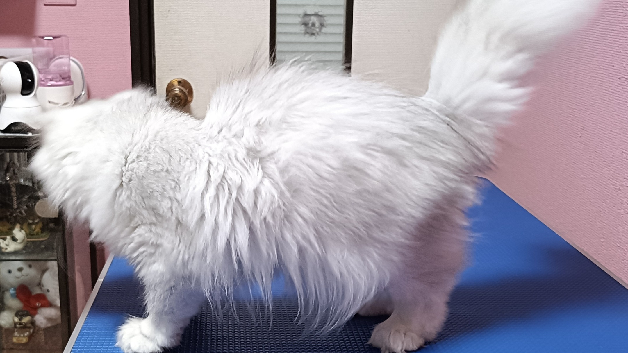 オーナー様募集中