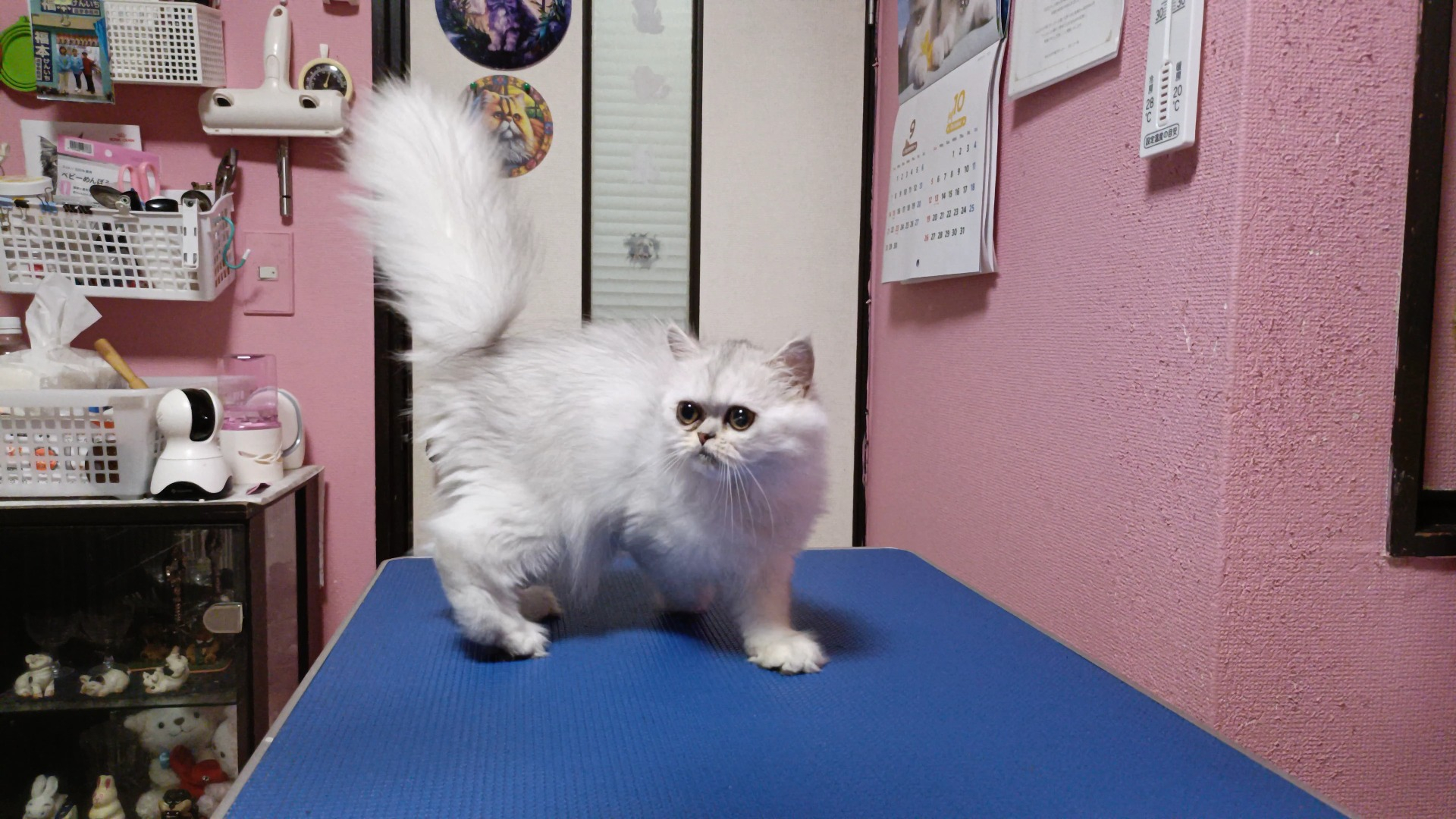 オーナー様募集中