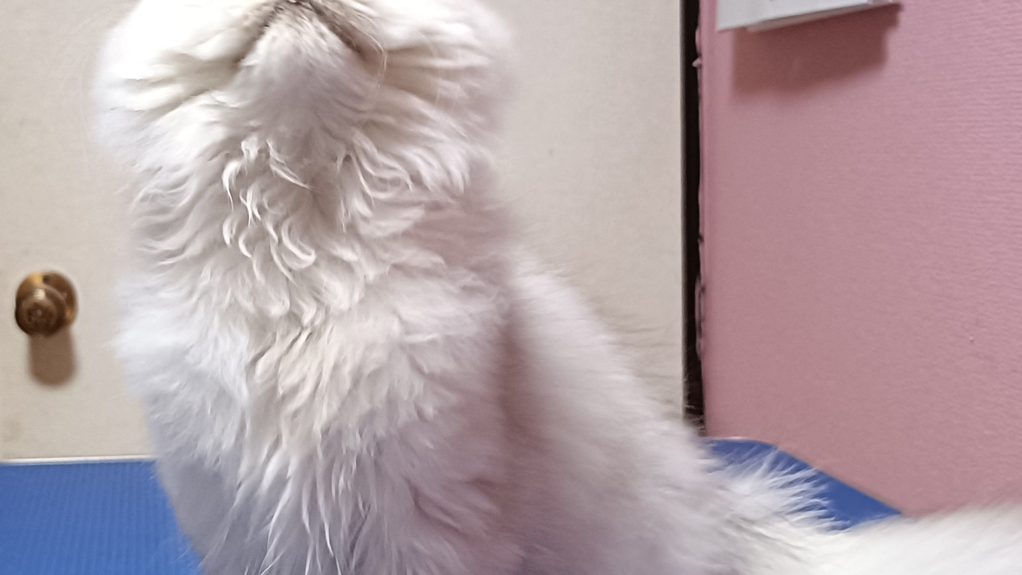 オーナー様募集中