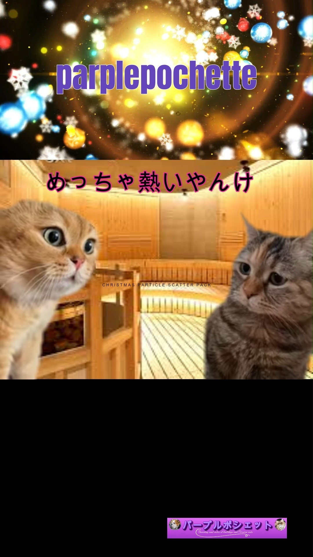 猫ミームでサウナへ行こう動画を作成パープルポシェットの動画チ...