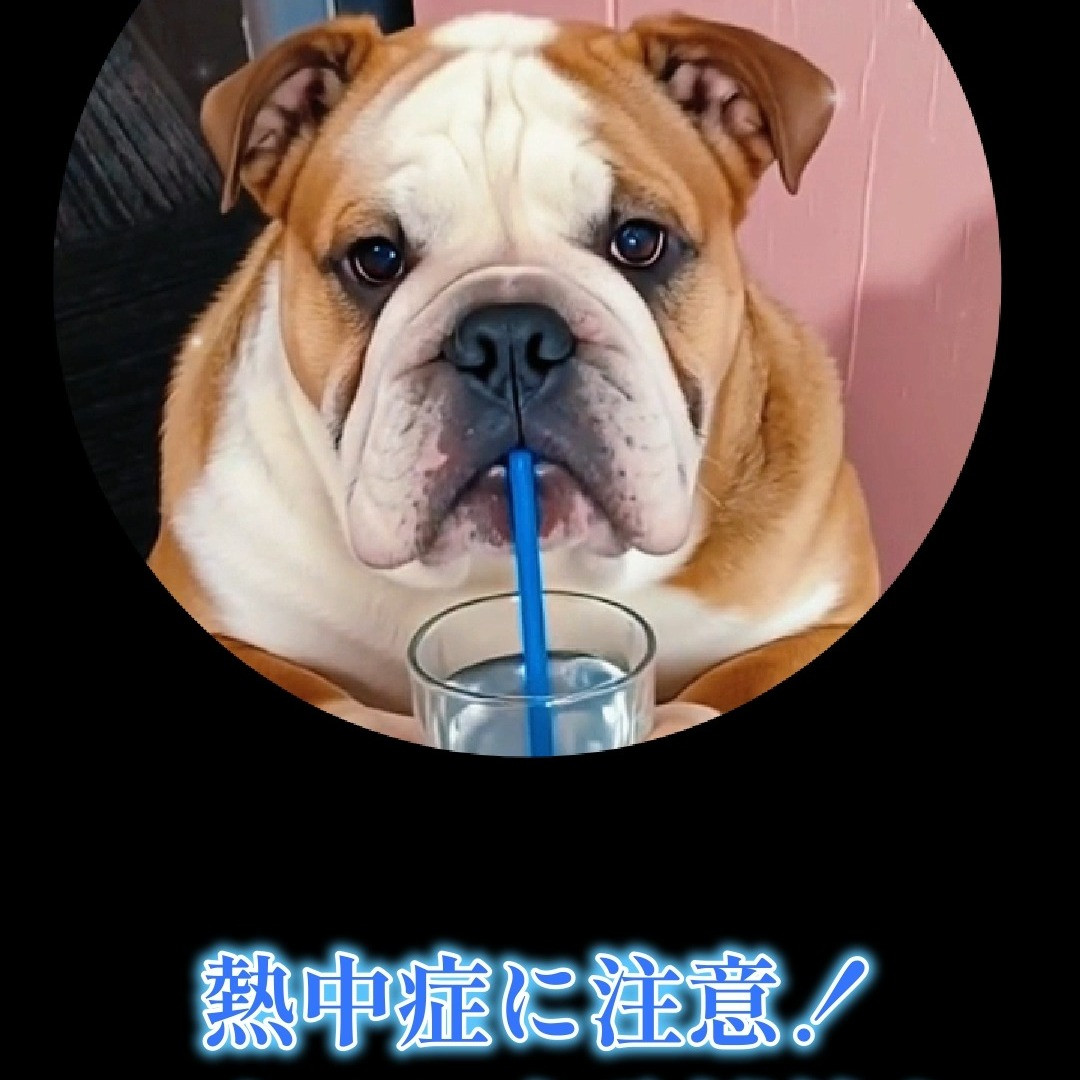 パープルポシェットの最強ブルドッグ「テツ君」からのメッセージ...