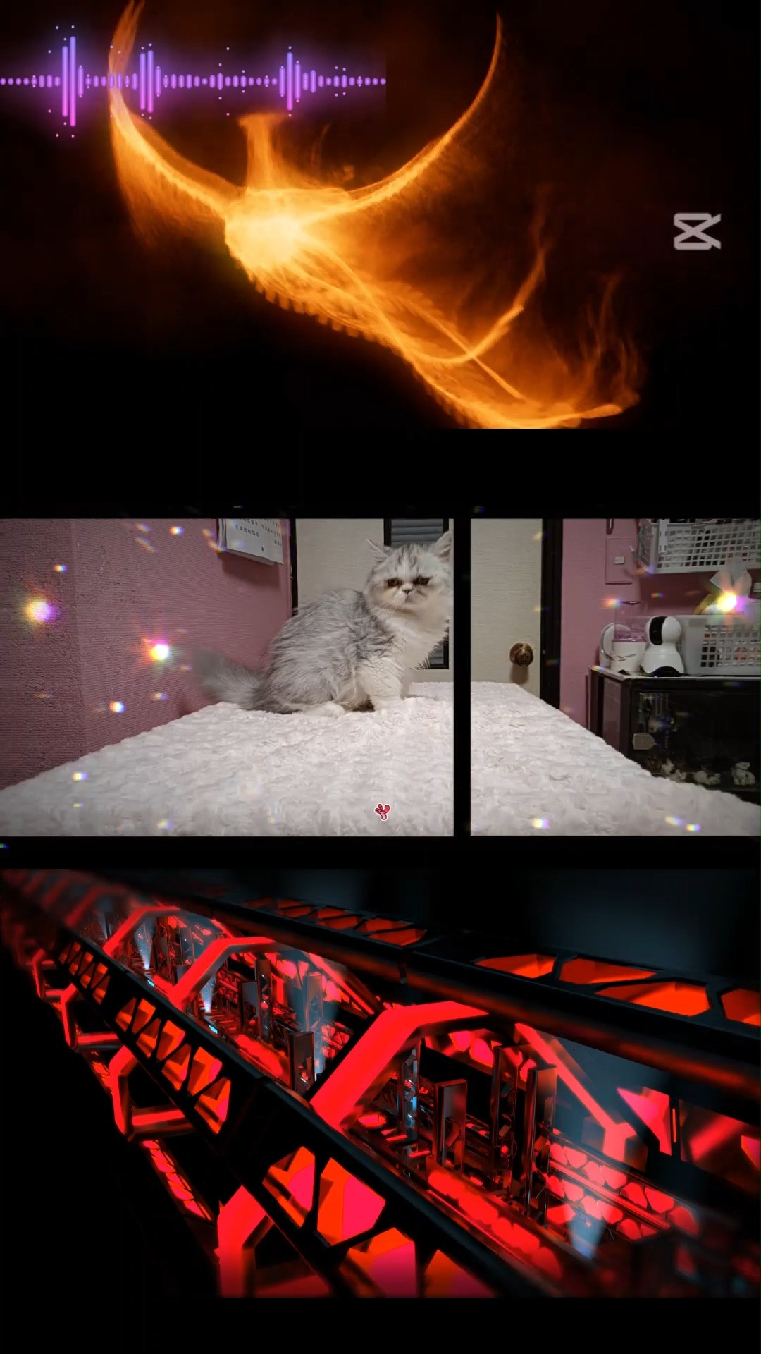 ブルドッグ＆ペルシャ猫専門ブリーダーパープルポシェットの可愛...