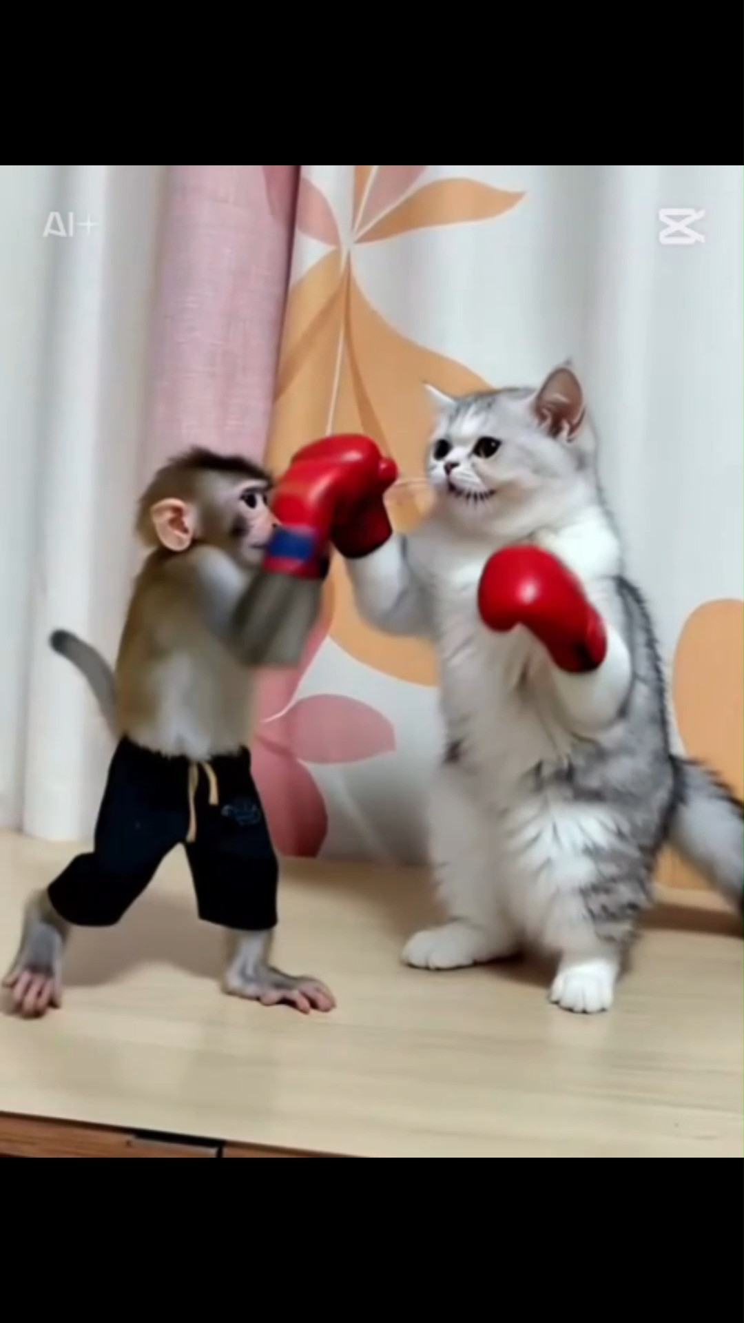 パープルポシェットの可愛いペルシャ仔猫紹介！