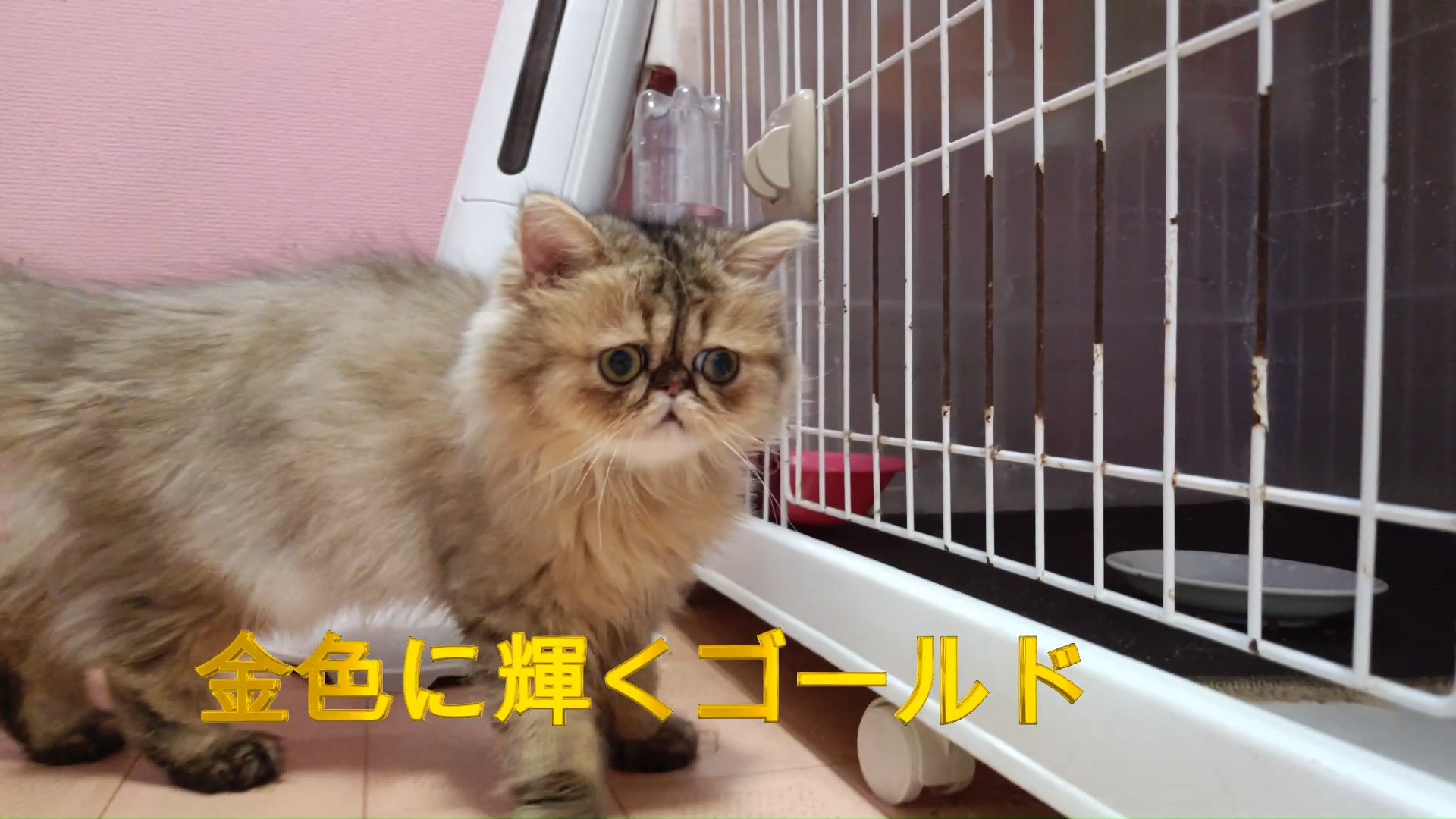 オーナー様募集中