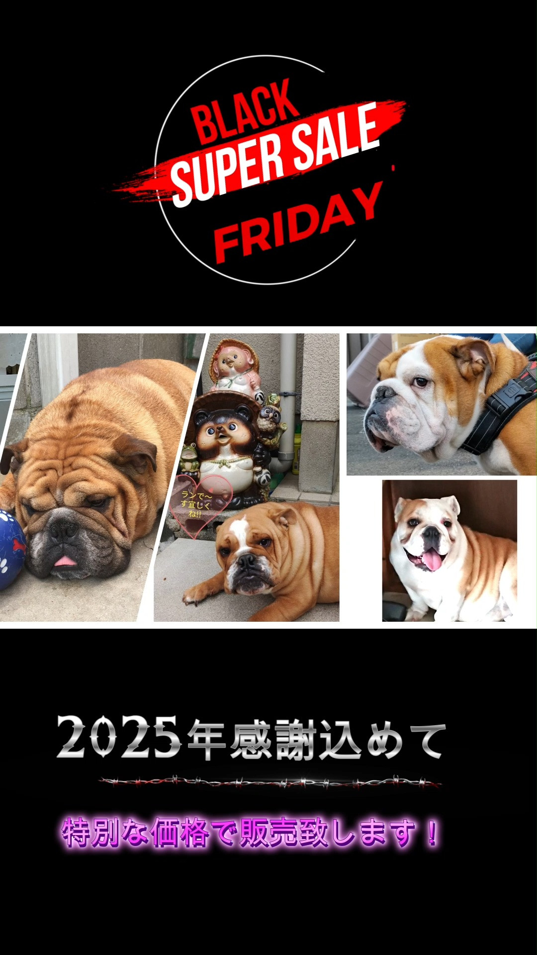 パープルポシェットから素敵なご案内！