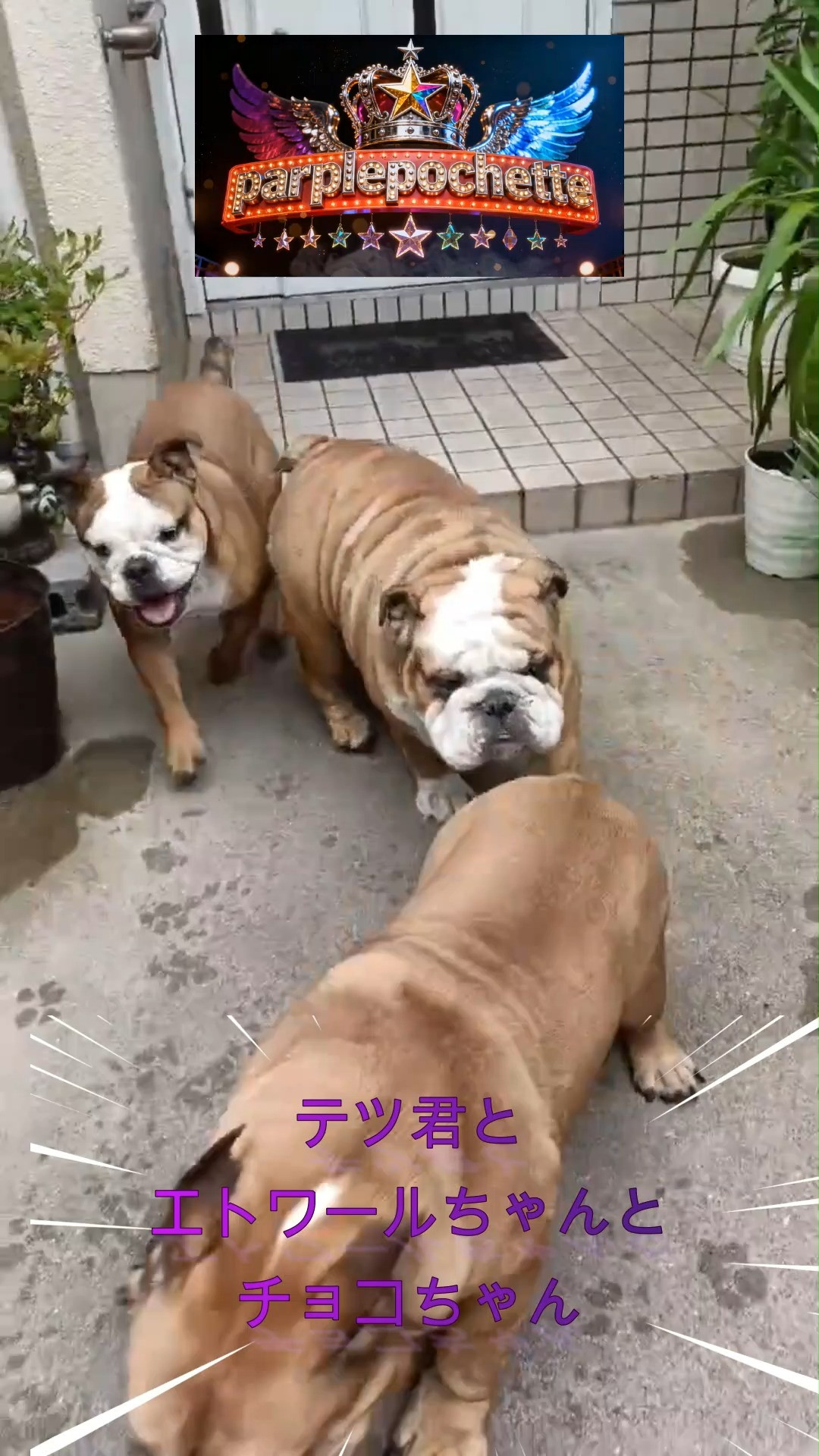 暑中お見舞い申し上げます。